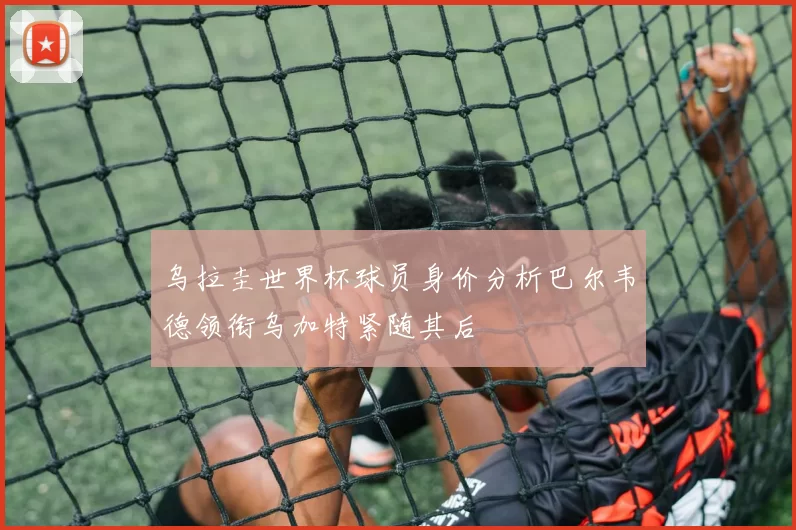 乌拉圭世界杯球员身价分析巴尔韦德领衔乌加特紧随其后